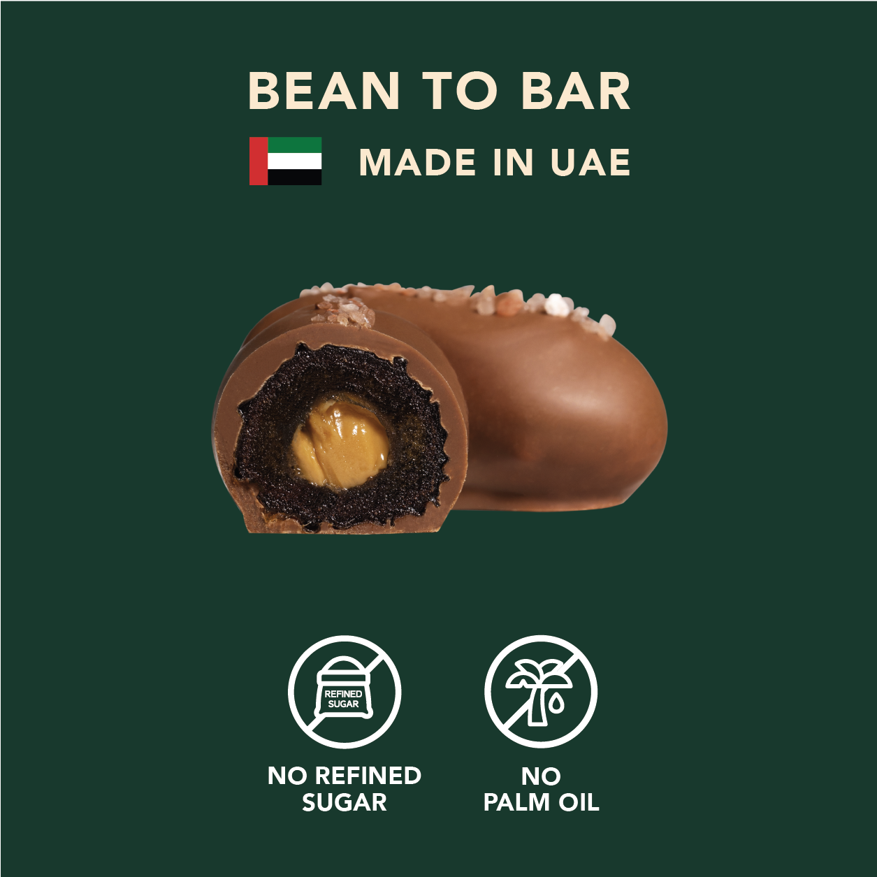 Chocolate Covered Dates with Himalayan Pink Salt