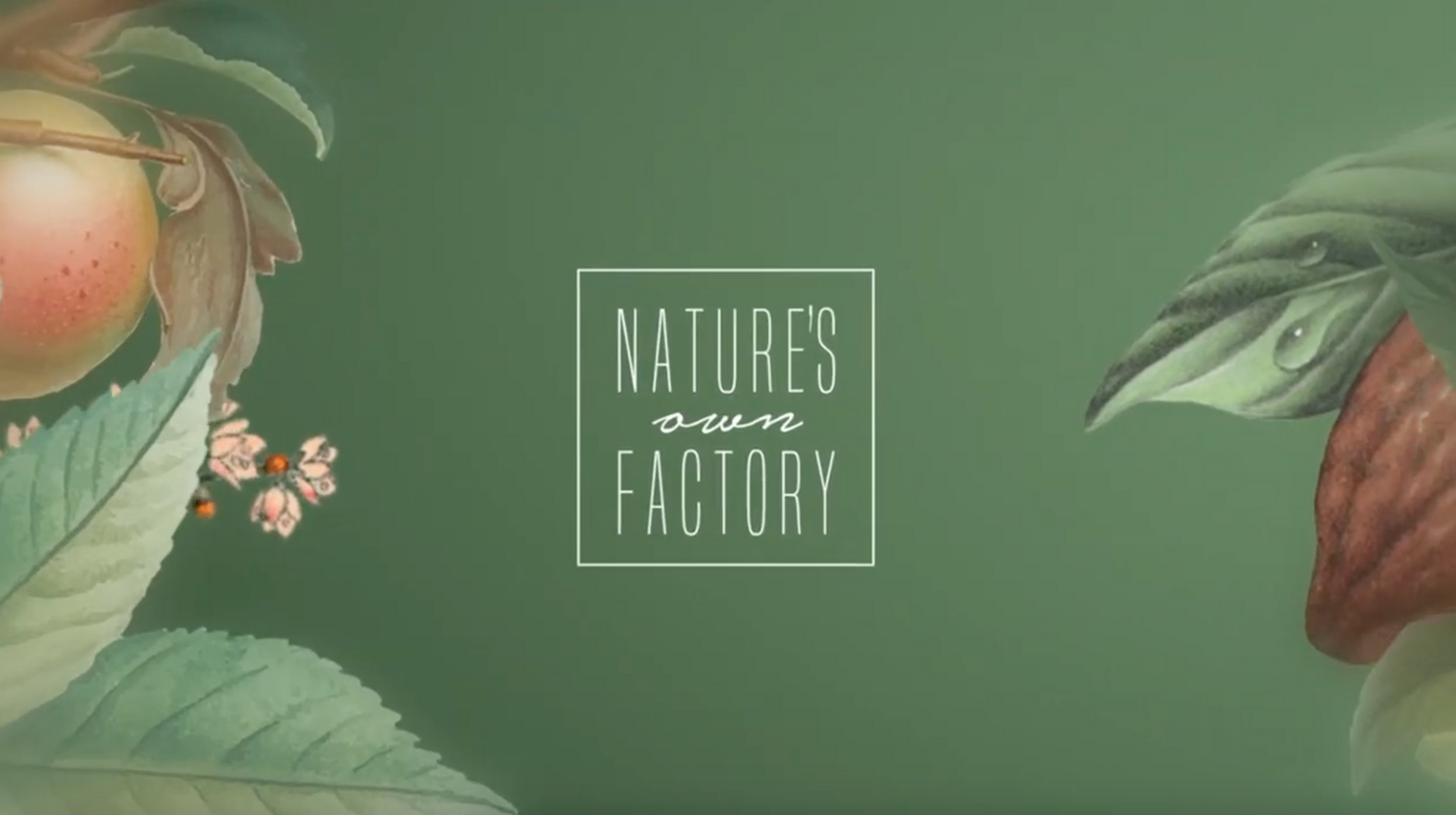 Nature's Own Factory – Nature's Own Factory