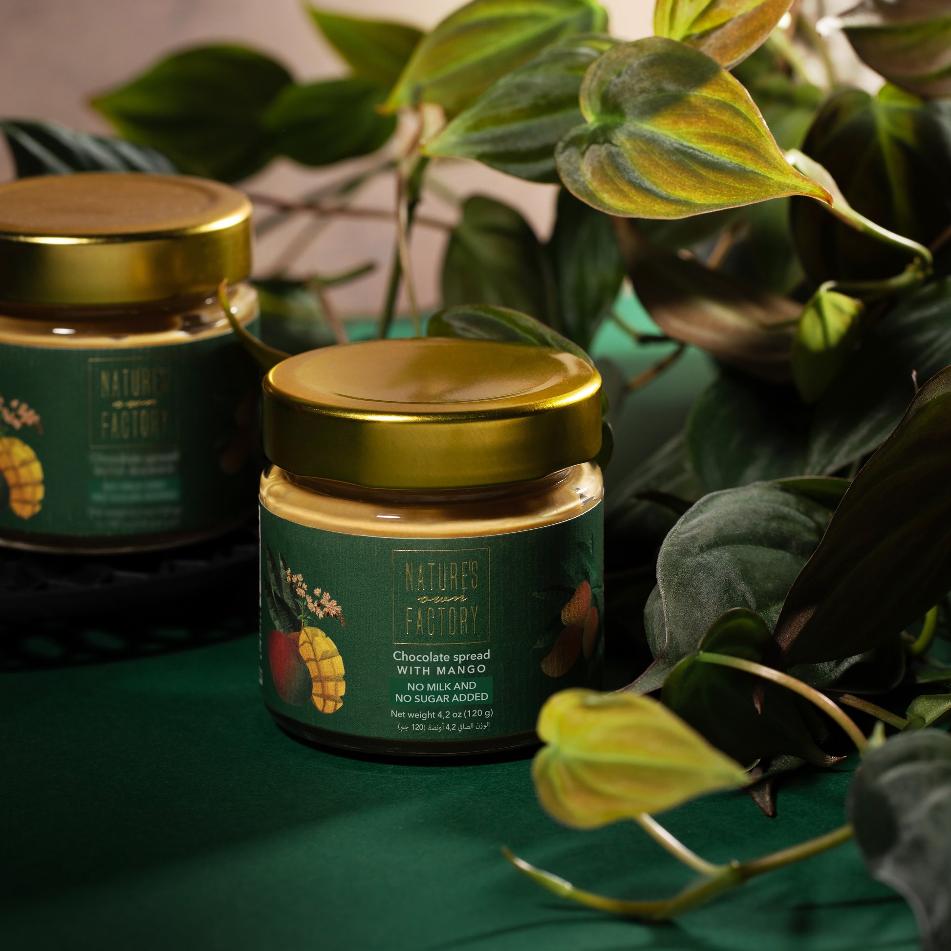 Nature’s Own Factory Chocolate Spread with Mango jar displayed among green tropical leaves. Dairy-free, no sugar added chocolate spread made in the UAE.